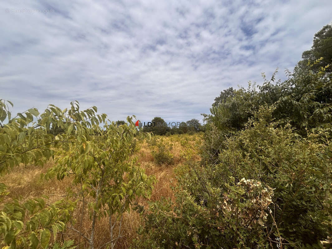 Terrain à SAINT-GENIS-DES-FONTAINES