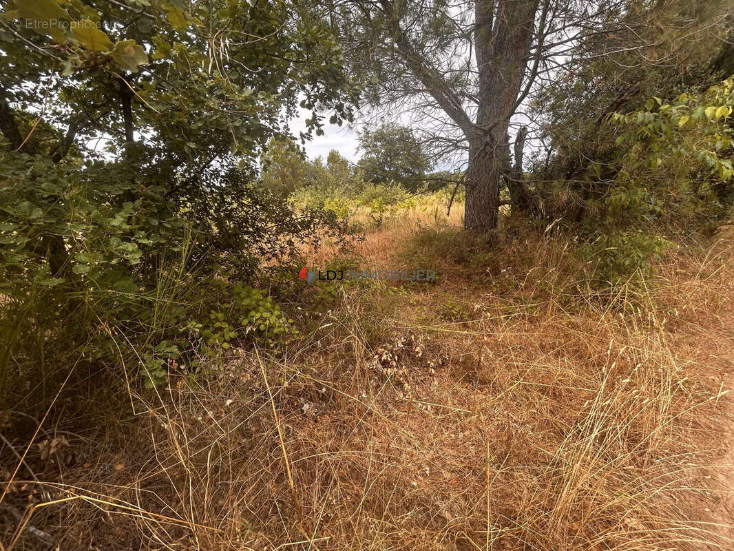 Terrain à SAINT-GENIS-DES-FONTAINES