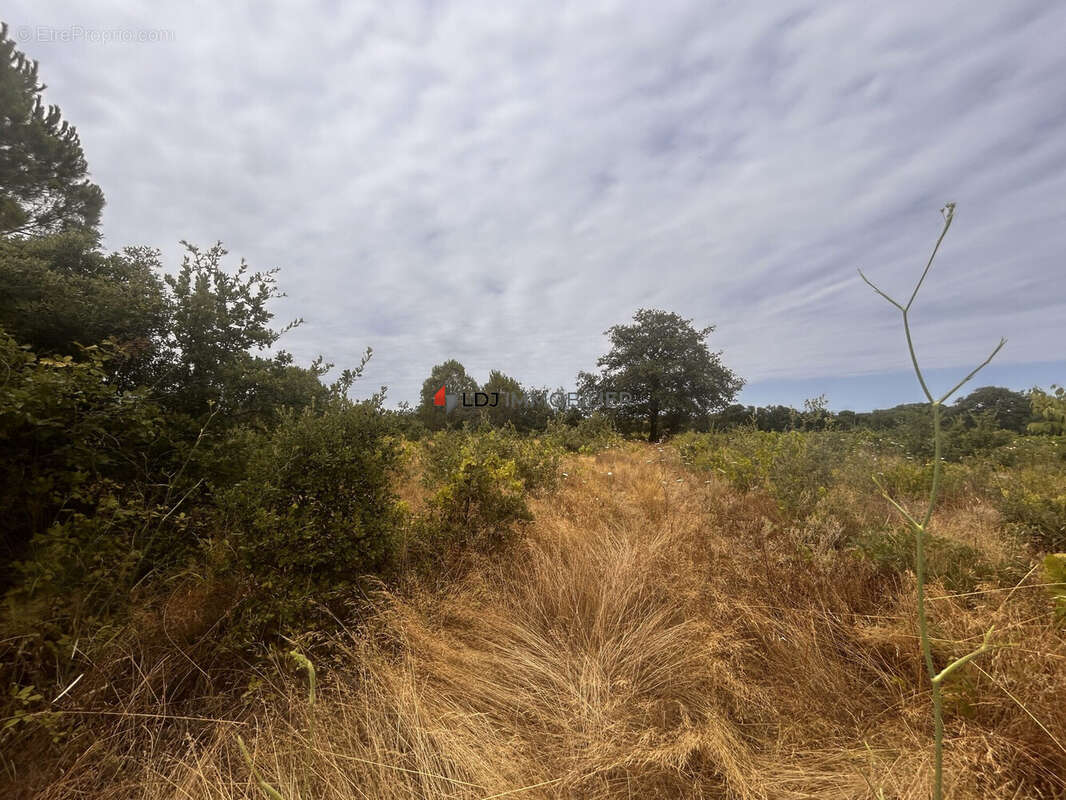 Terrain à SAINT-GENIS-DES-FONTAINES