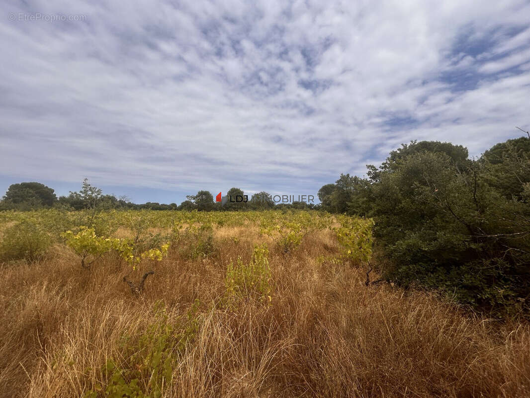 Terrain à SAINT-GENIS-DES-FONTAINES