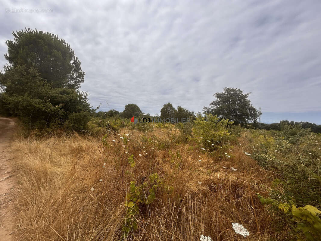 Terrain à SAINT-GENIS-DES-FONTAINES