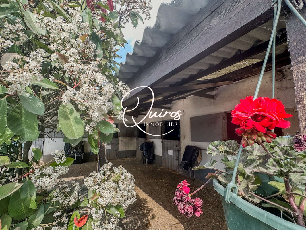 Maison à VERSAILLES