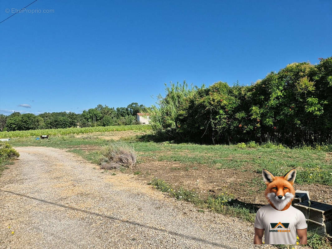 Terrain à SAINT-HILAIRE-DE-BRETHMAS