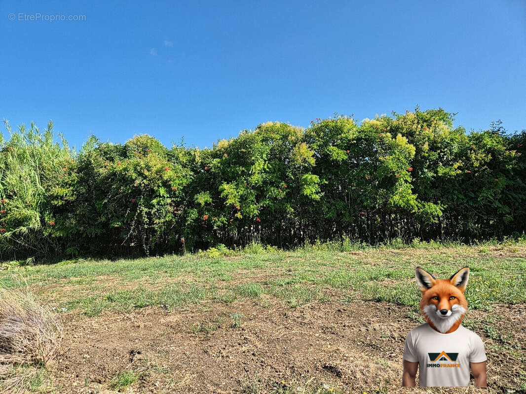 Terrain à SAINT-HILAIRE-DE-BRETHMAS