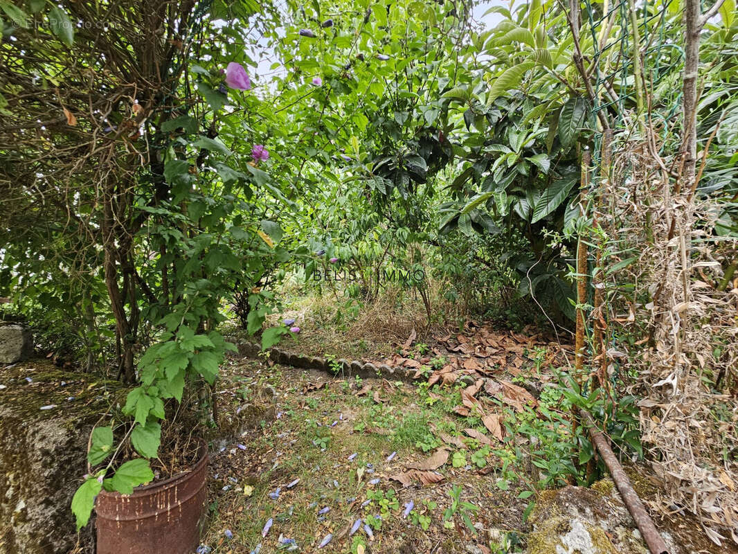 Maison à MONTLOUIS-SUR-LOIRE