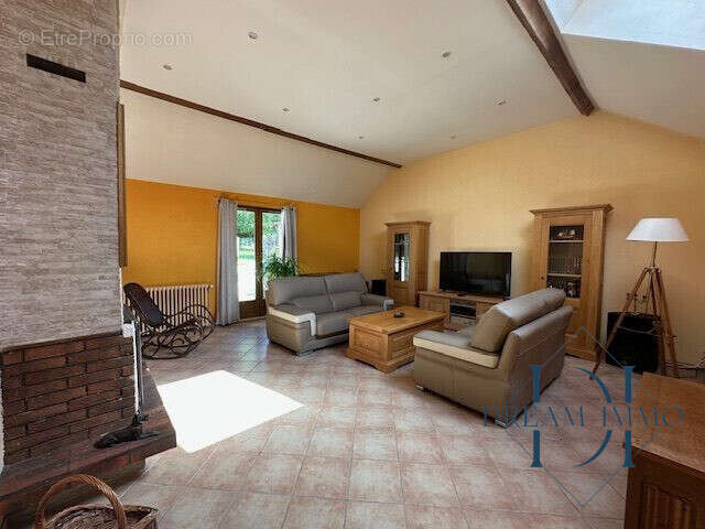 Salon avec cheminée à insert - Maison à CIVIERES