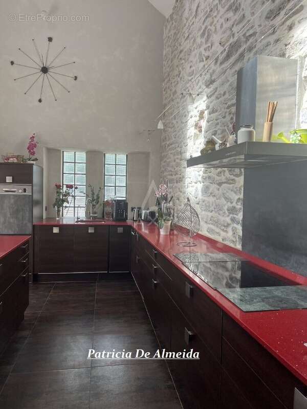 Maison à SALLES-MONGISCARD