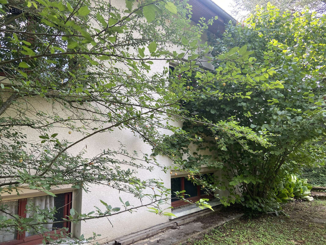 Maison à SAINT-CYR-AU-MONT-D&#039;OR