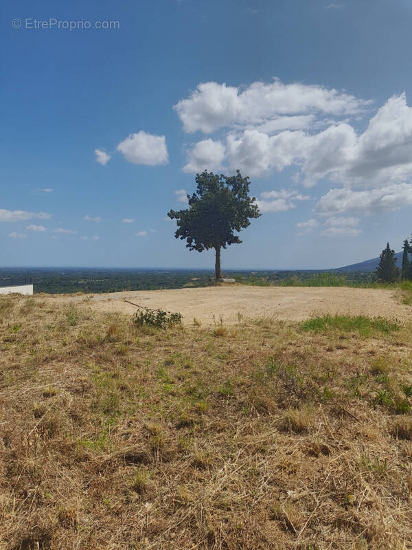 Terrain à VILLELONGUE-DELS-MONTS