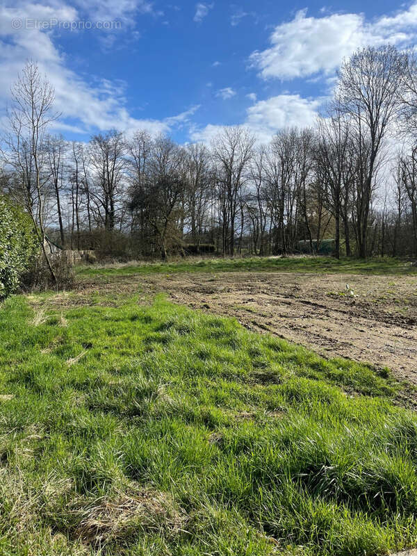 Terrain à MANSPACH