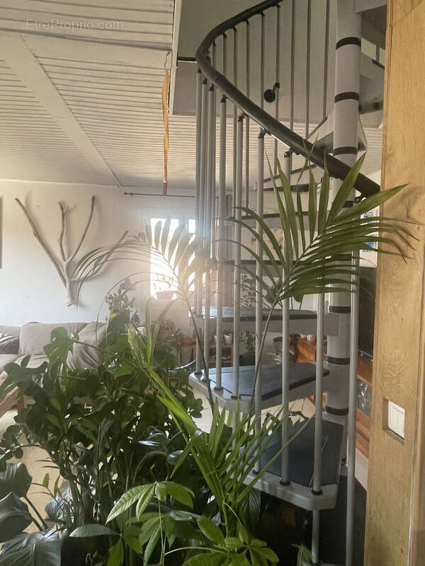 Appartement à VAISON-LA-ROMAINE