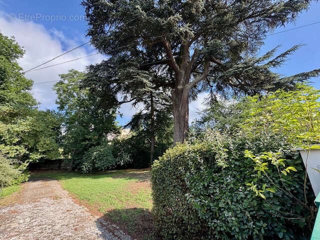 Terrain à SOISY-SUR-SEINE