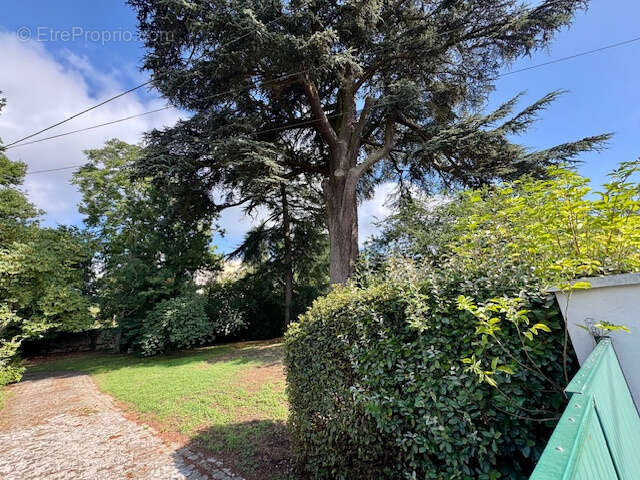 Terrain à SOISY-SUR-SEINE