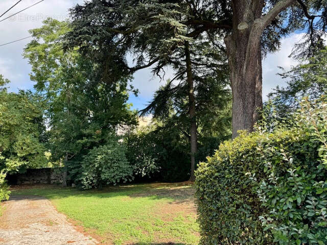 Terrain à SOISY-SUR-SEINE