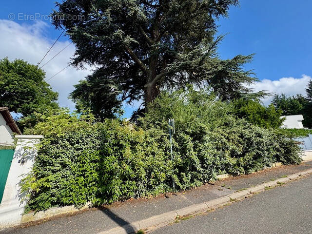 Terrain à SOISY-SUR-SEINE