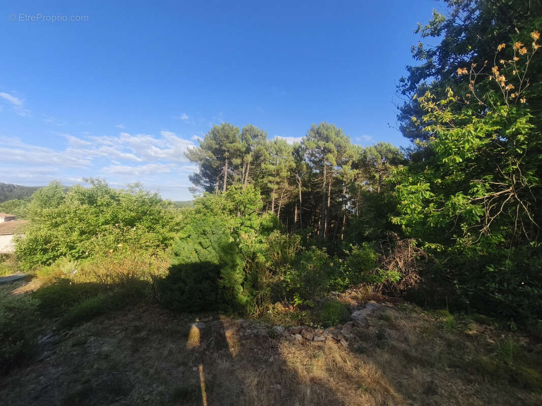 Maison à LE COLLET-DE-DEZE