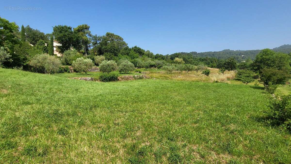 Terrain à CHASSIERS