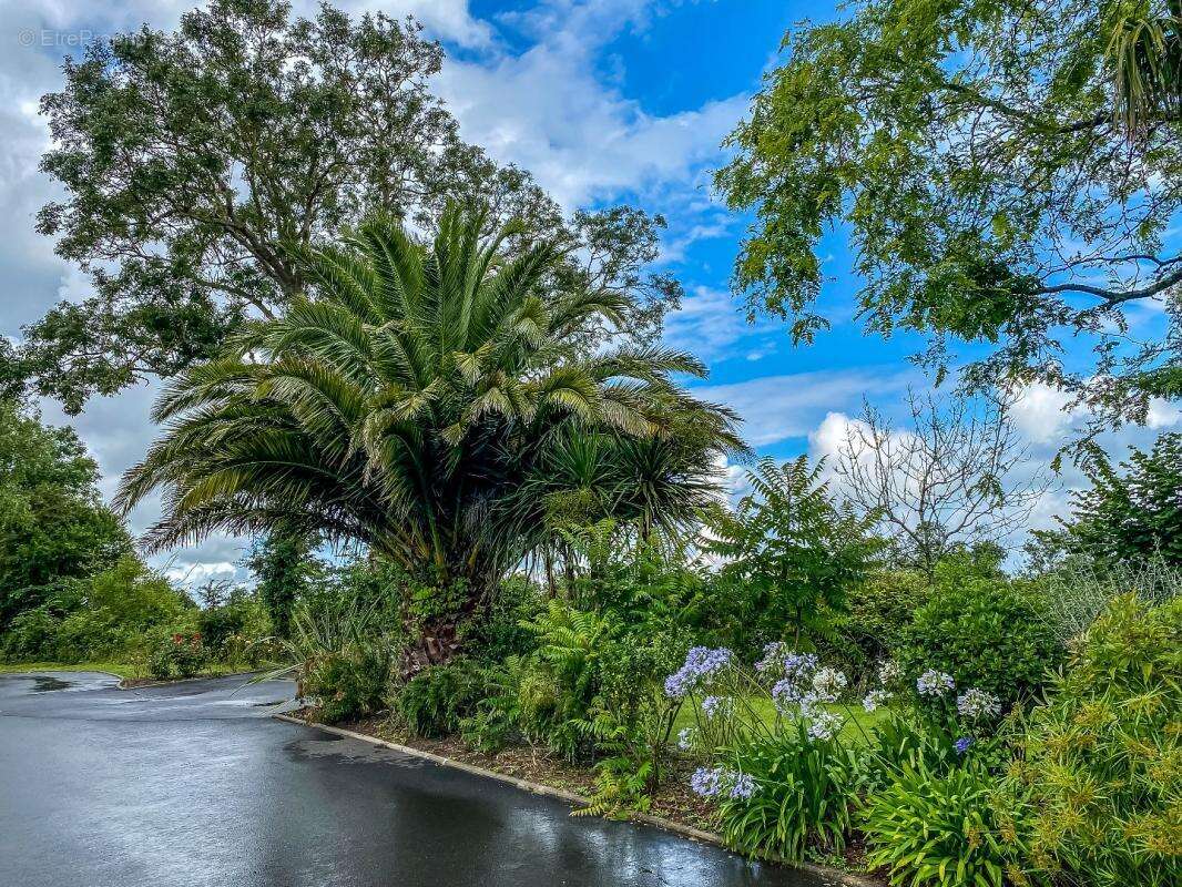 Appartement à COLLEVILLE-SUR-MER