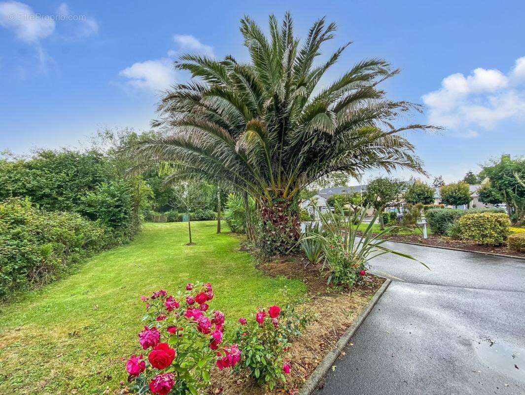 Appartement à COLLEVILLE-SUR-MER