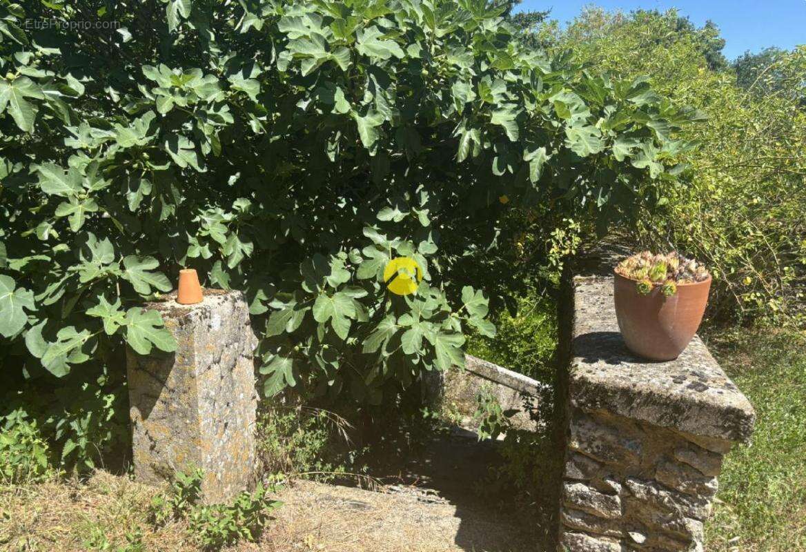 Maison à SAINTE-ALVERE