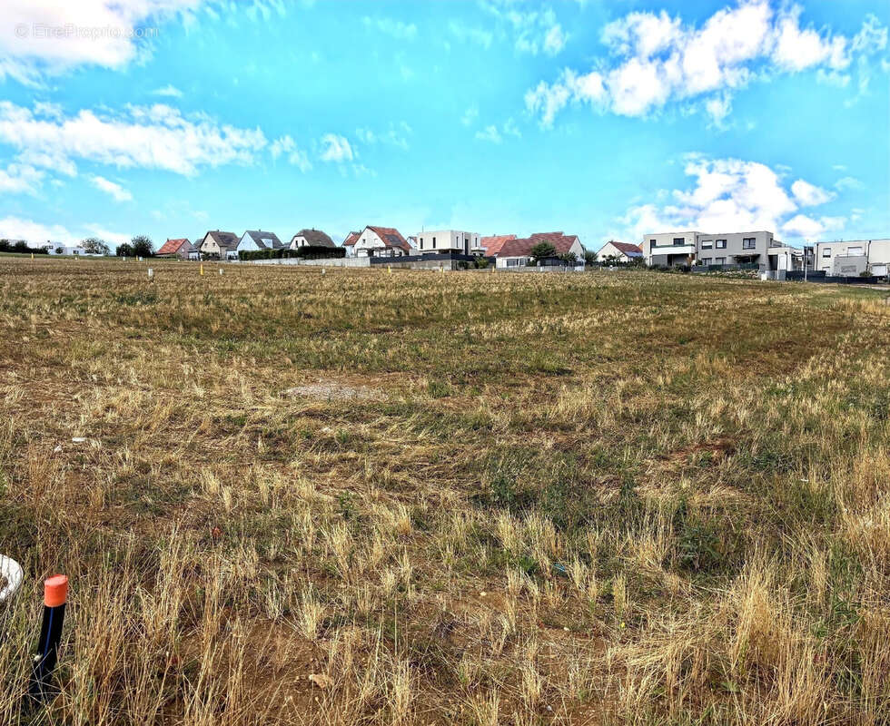 Terrain à WASSELONNE