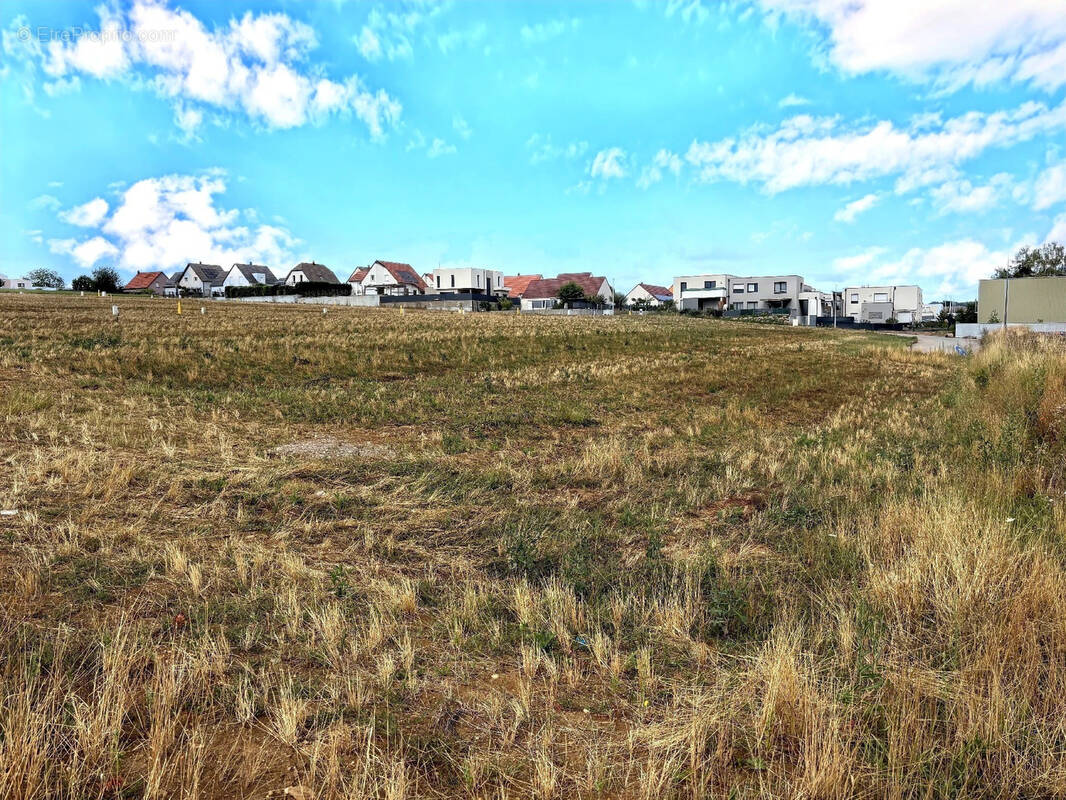 Terrain à WASSELONNE