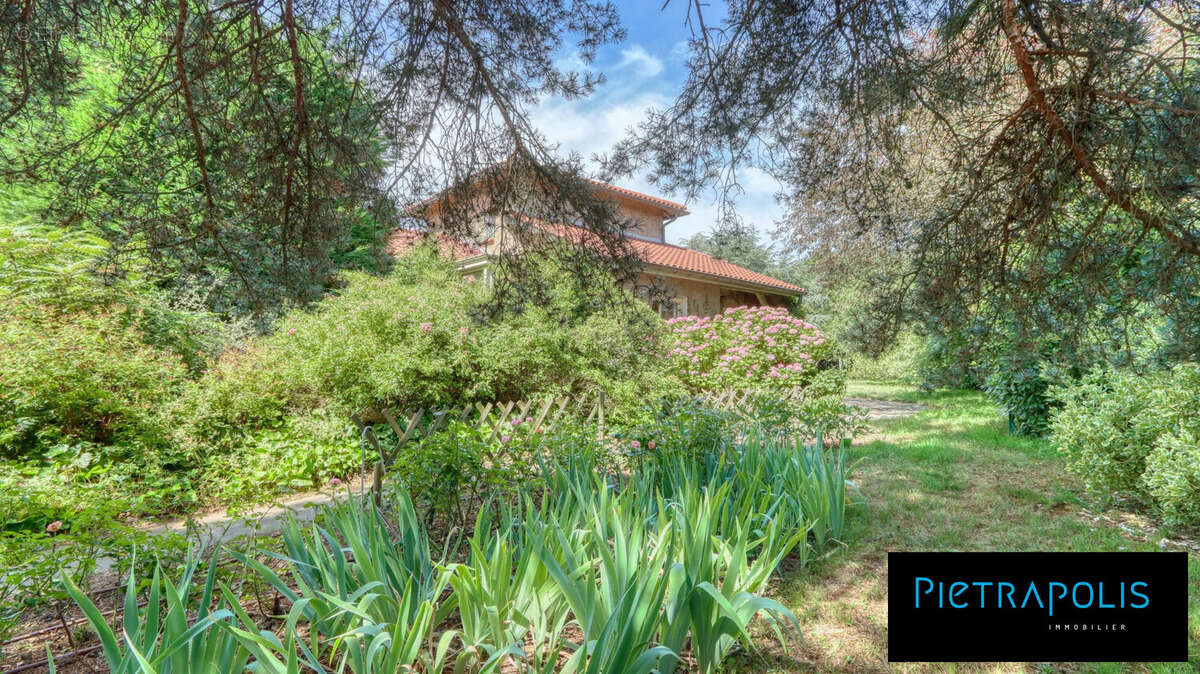 Maison à SAINTE-CONSORCE