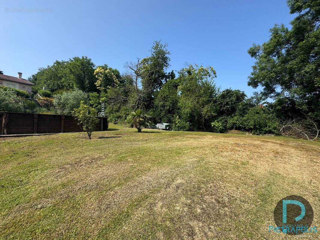 Terrain à MEXIMIEUX