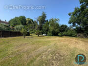 Terrain à MEXIMIEUX