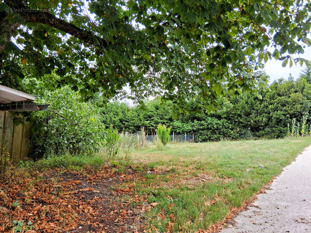 Maison à SAINT-GONDON