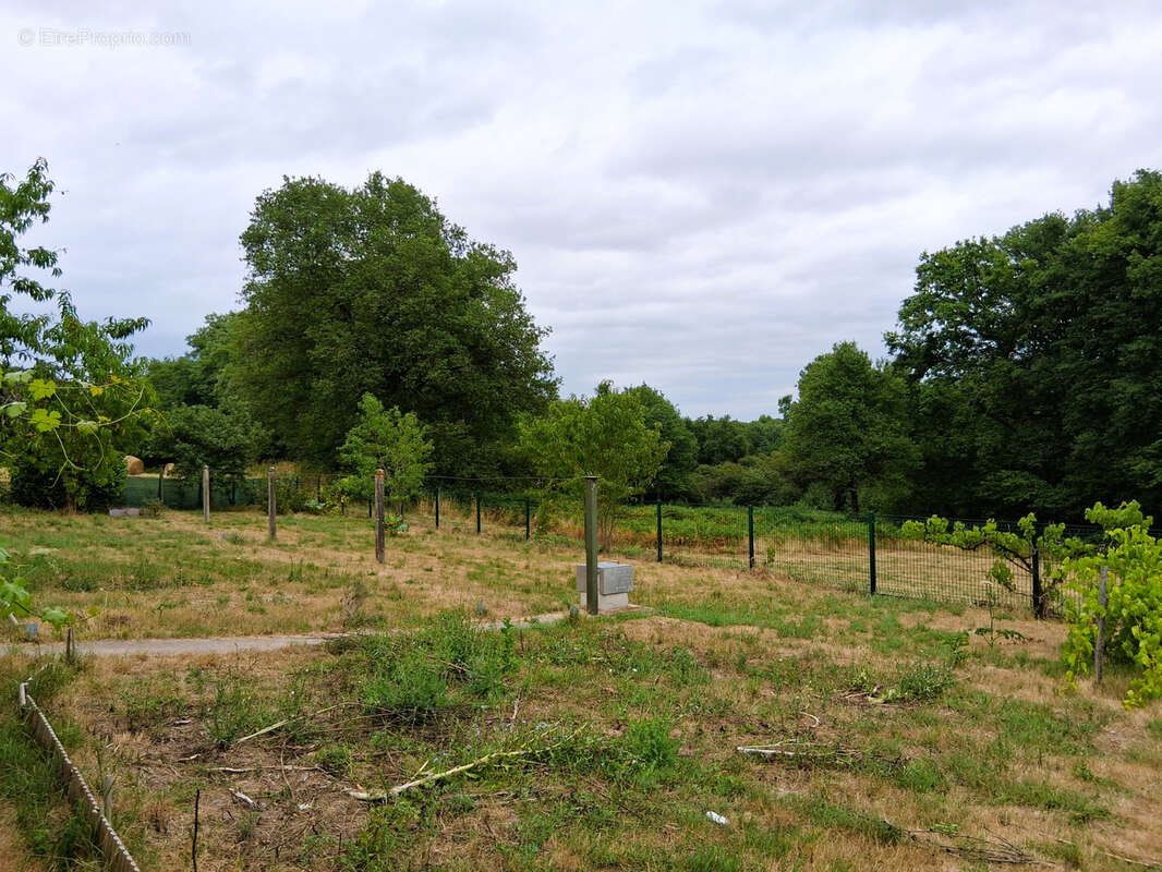 Maison à SAINT-GONDON