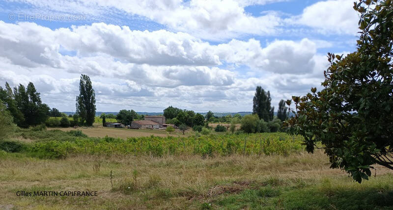 Commerce à PORT-SAINTE-FOY-ET-PONCHAPT