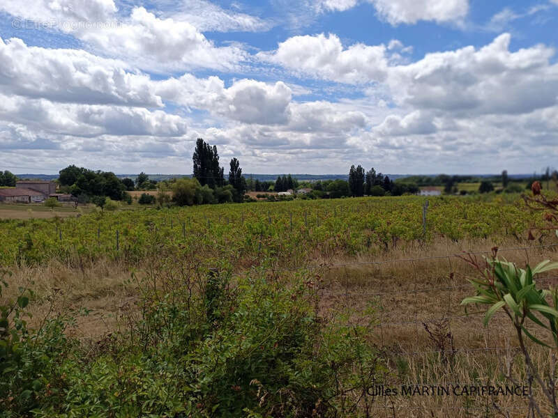 Commerce à PORT-SAINTE-FOY-ET-PONCHAPT