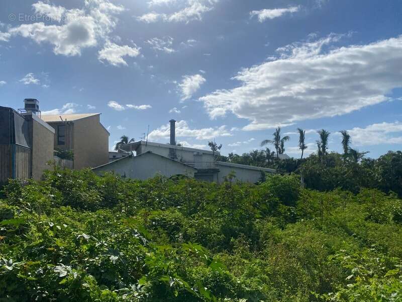 Terrain à SAINTE-MARIE