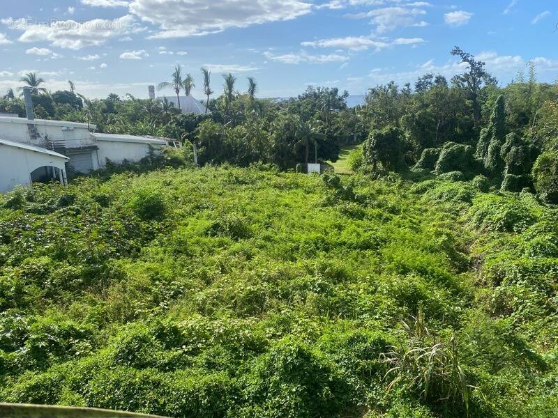Terrain à SAINTE-MARIE