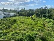 Terrain à SAINTE-MARIE