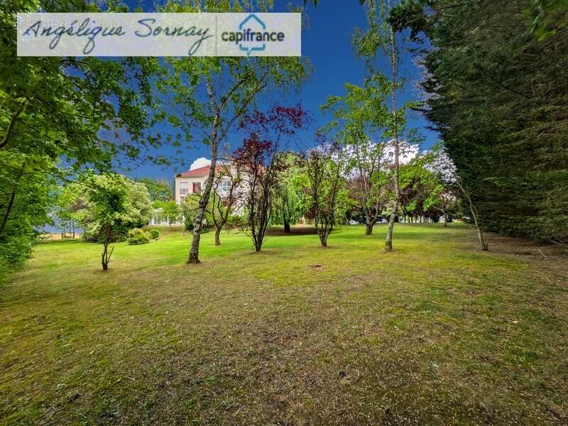 Appartement à PIERRE-DE-BRESSE