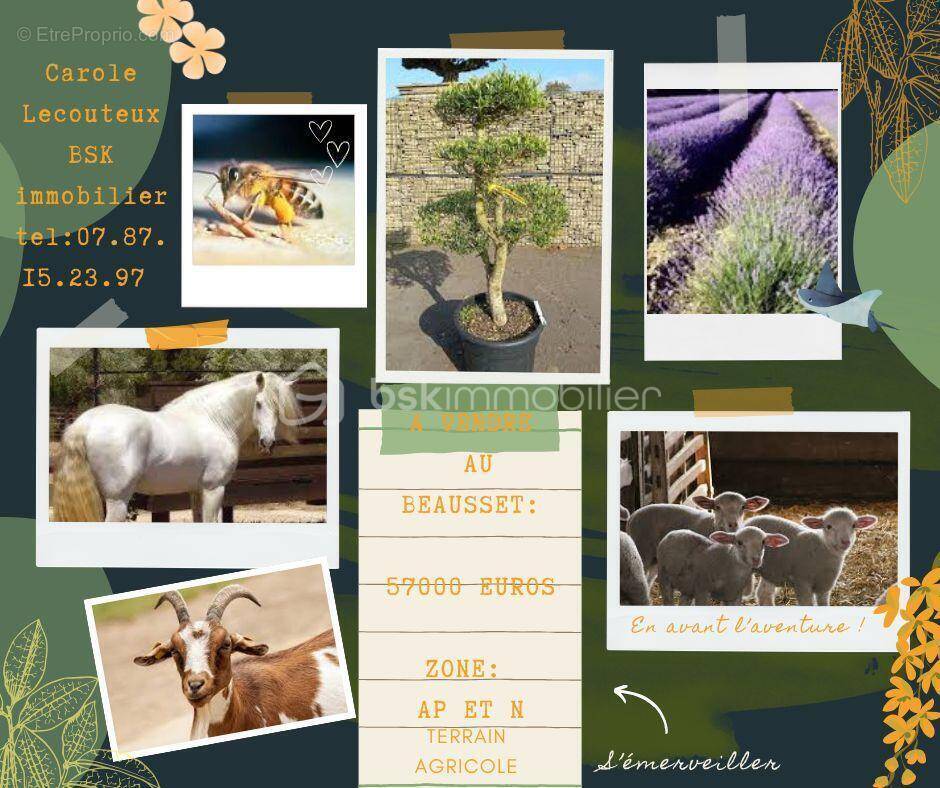 Terrain à LE BEAUSSET