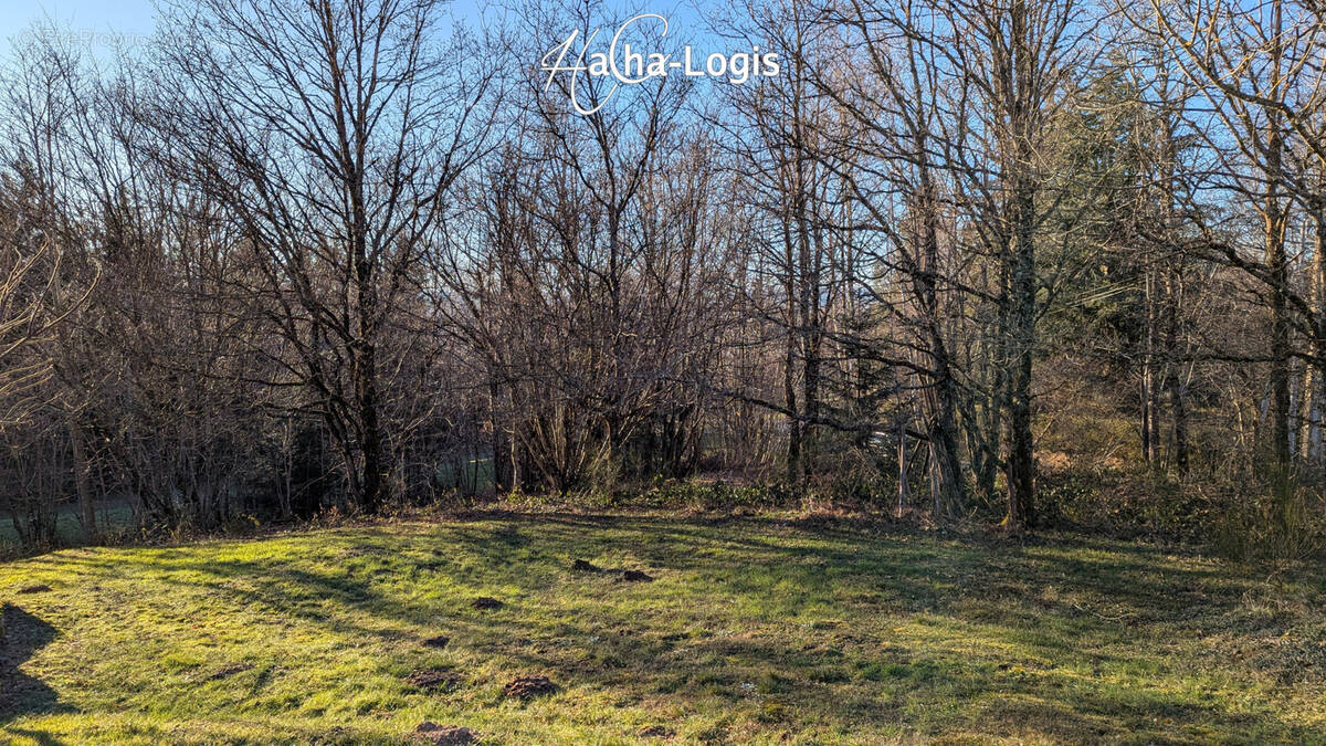 Terrain à ENTRE-DEUX-EAUX