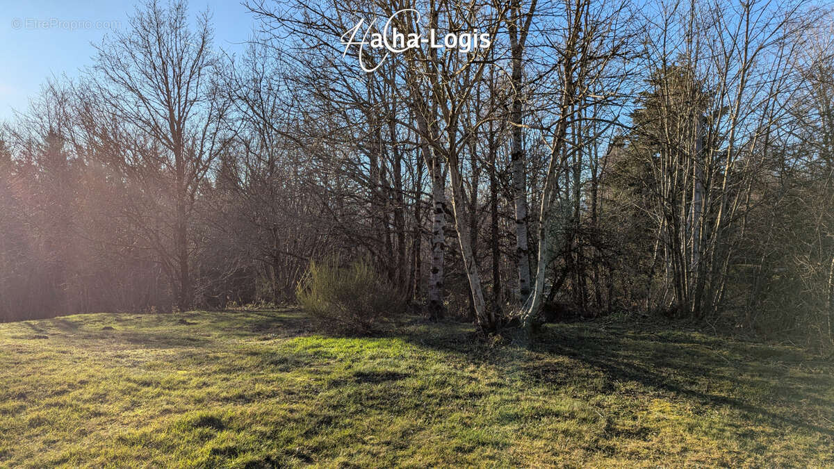 Terrain à ENTRE-DEUX-EAUX