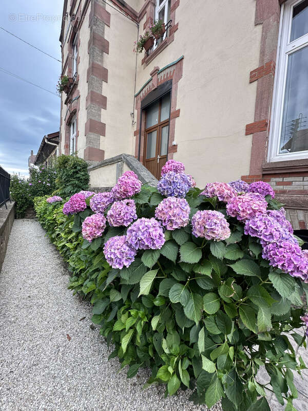 Maison à RAON-L&#039;ETAPE