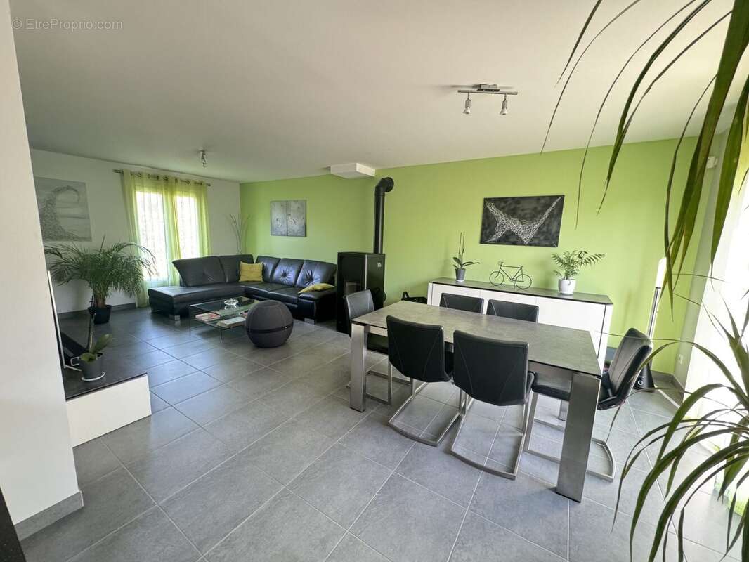 Séjour - Maison à TOUSSUS-LE-NOBLE