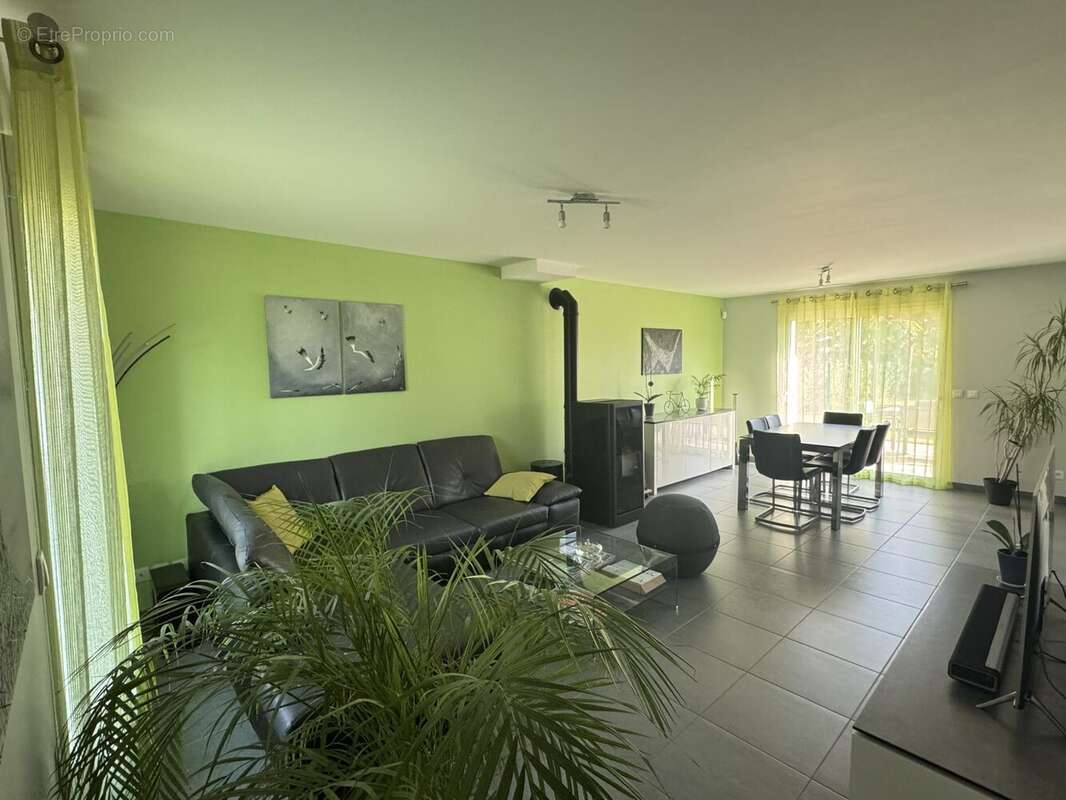 séjour - Maison à TOUSSUS-LE-NOBLE