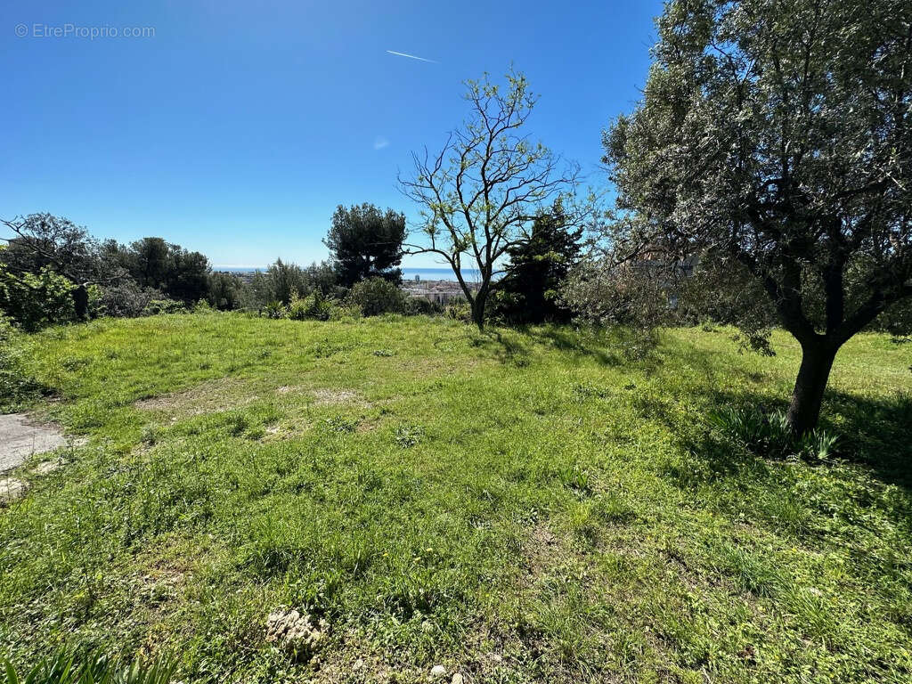 Terrain à CAGNES-SUR-MER