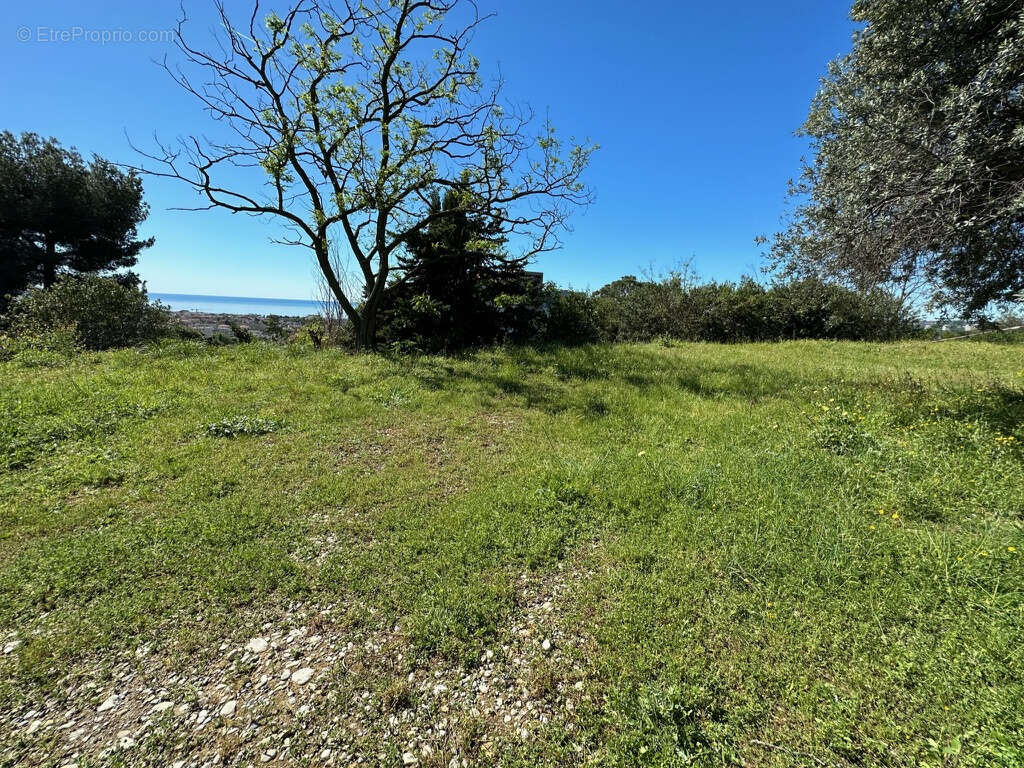 Terrain à CAGNES-SUR-MER