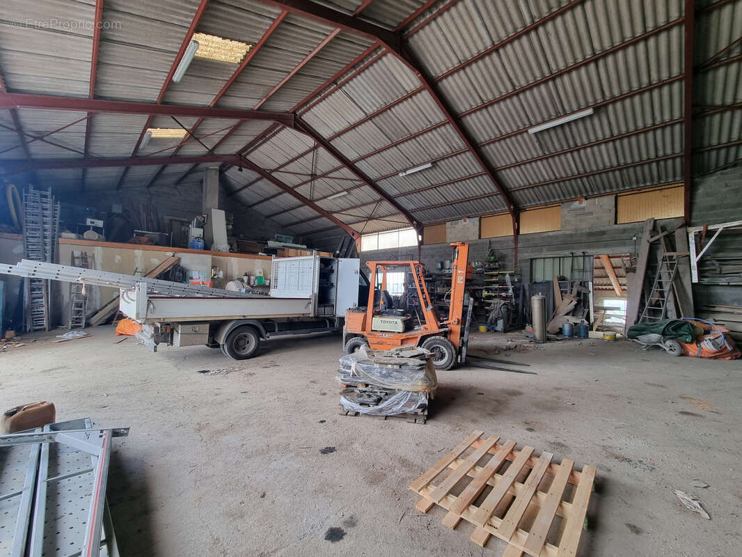 Commerce à REQUISTA