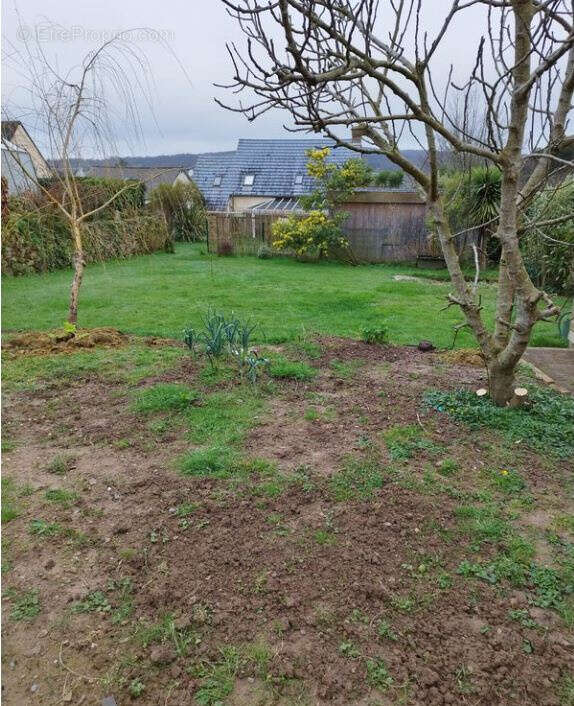 Terrain à MARTINVAST