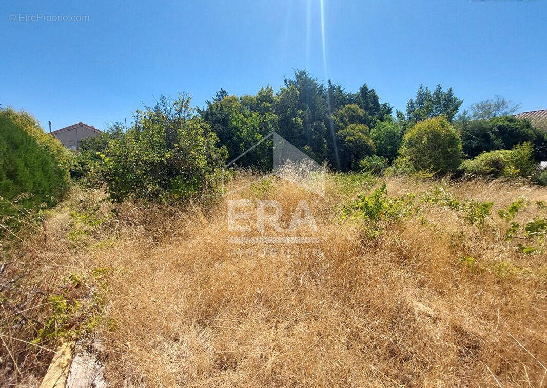 Terrain à PERTUIS