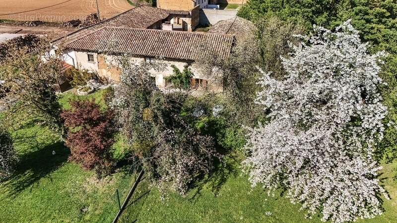 Maison à GENOUILLEUX
