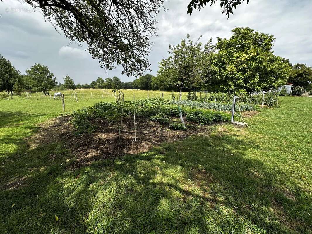 Maison à CHANNAY-SUR-LATHAN